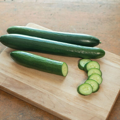 Cucumber - Unagi NEW!