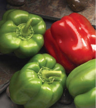 Load image into Gallery viewer, Peppers - Better Belle
