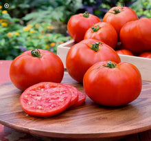 Load image into Gallery viewer, Tomato - Better Boy
