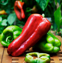 Load image into Gallery viewer, Peppers - Big Bertha
