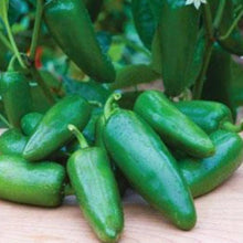 Load image into Gallery viewer, Peppers - Burpee Big Guy
