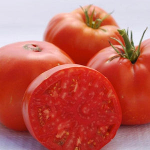 Tomato - Red Brandywine