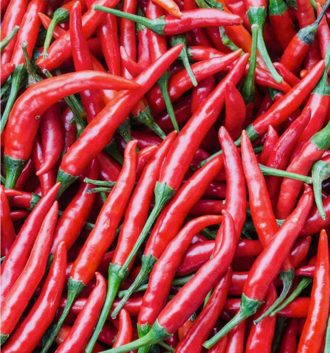 Peppers - Cayenne