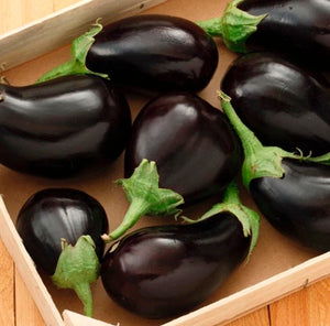 Eggplant - Satin Beauty
