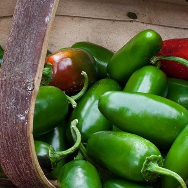 Peppers - Jalapeno