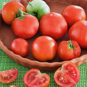 Tomato - Patio