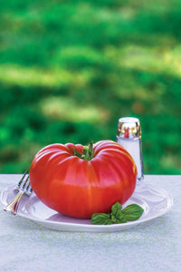 Tomato - SteakHouse Hybrid